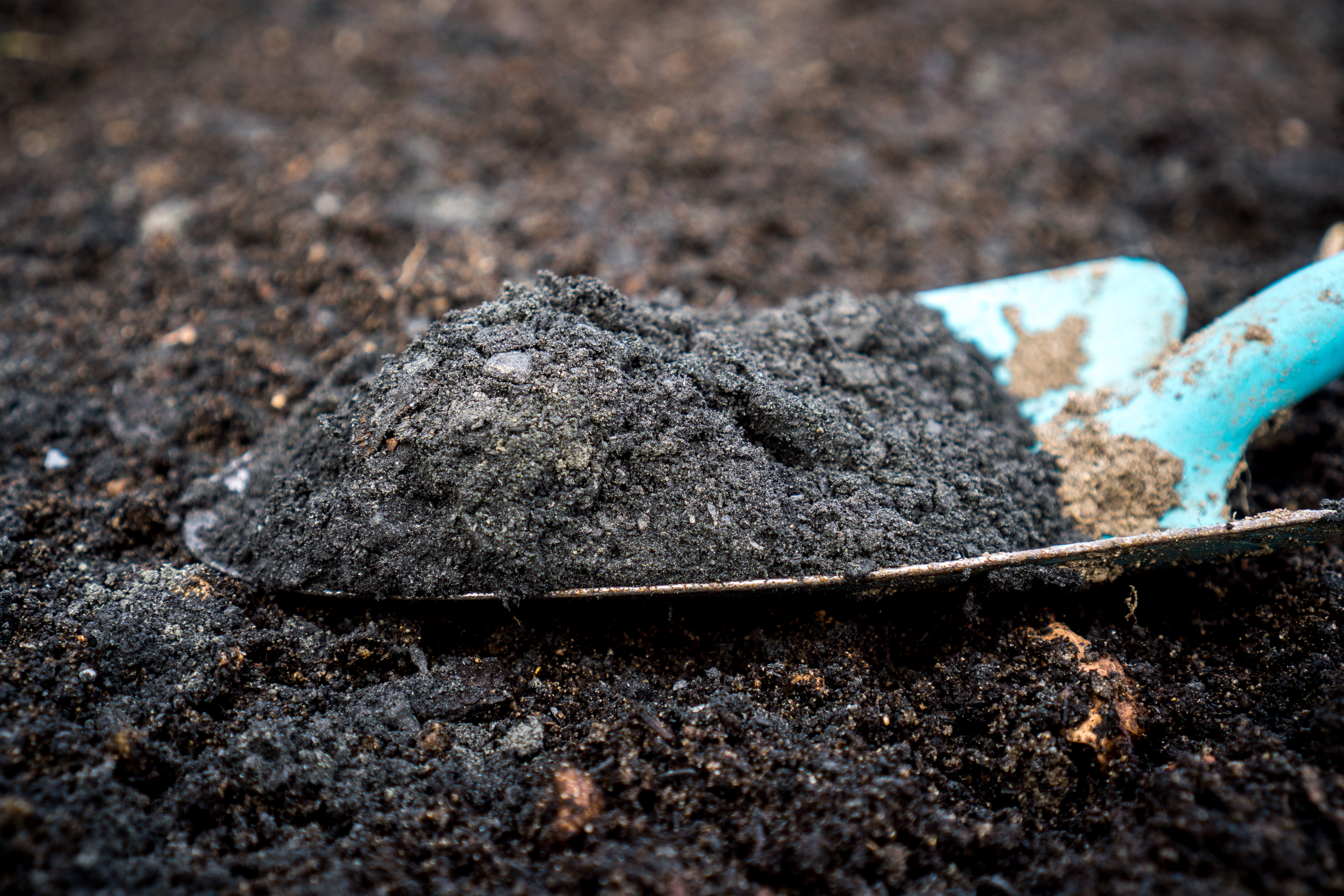 Suntory and TOWING: High-performance biochar supporting circular agriculture in Japan and Thailand - edie