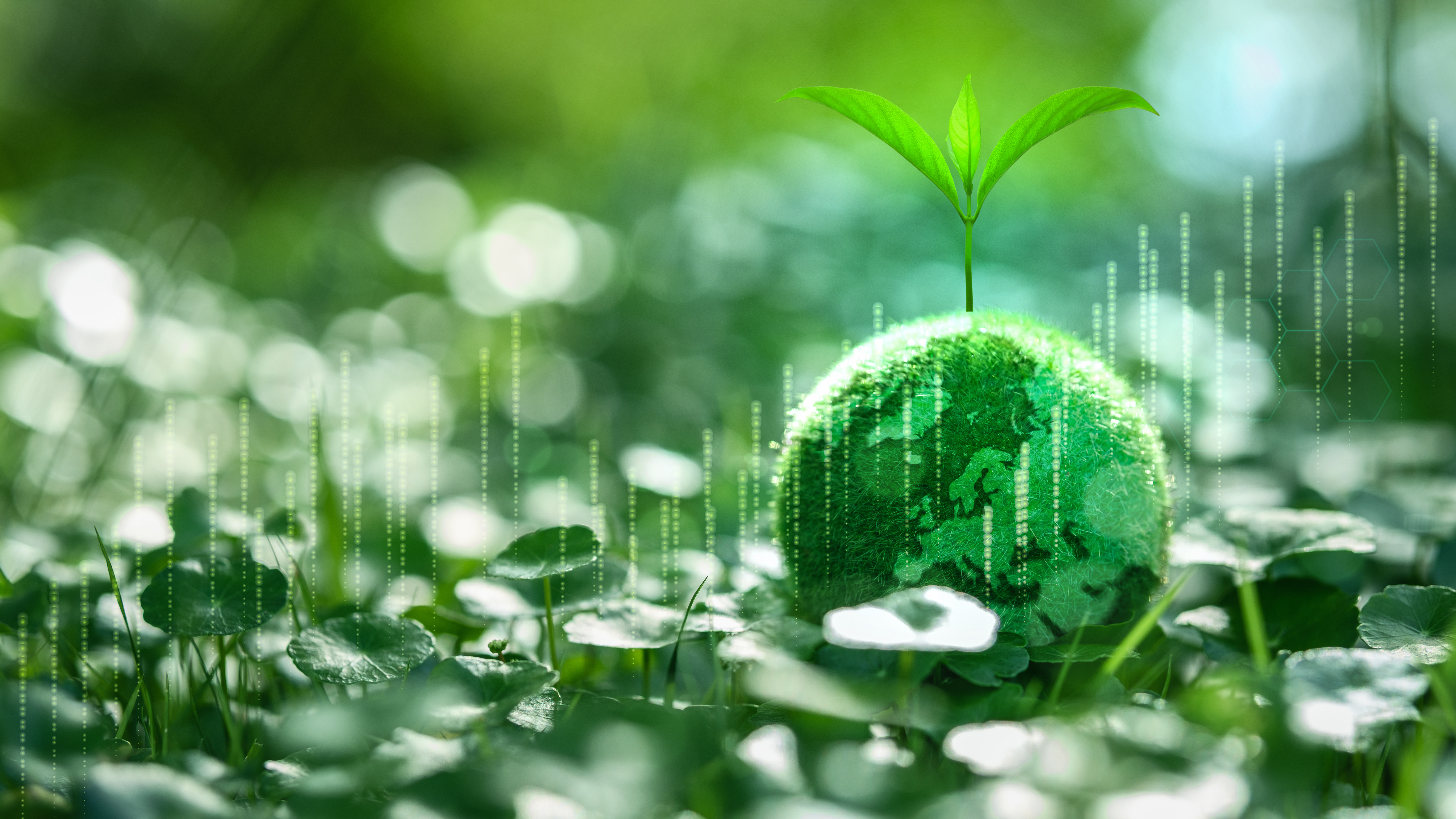 ‘Highly underused': Why Europe needs to close its green bond gap