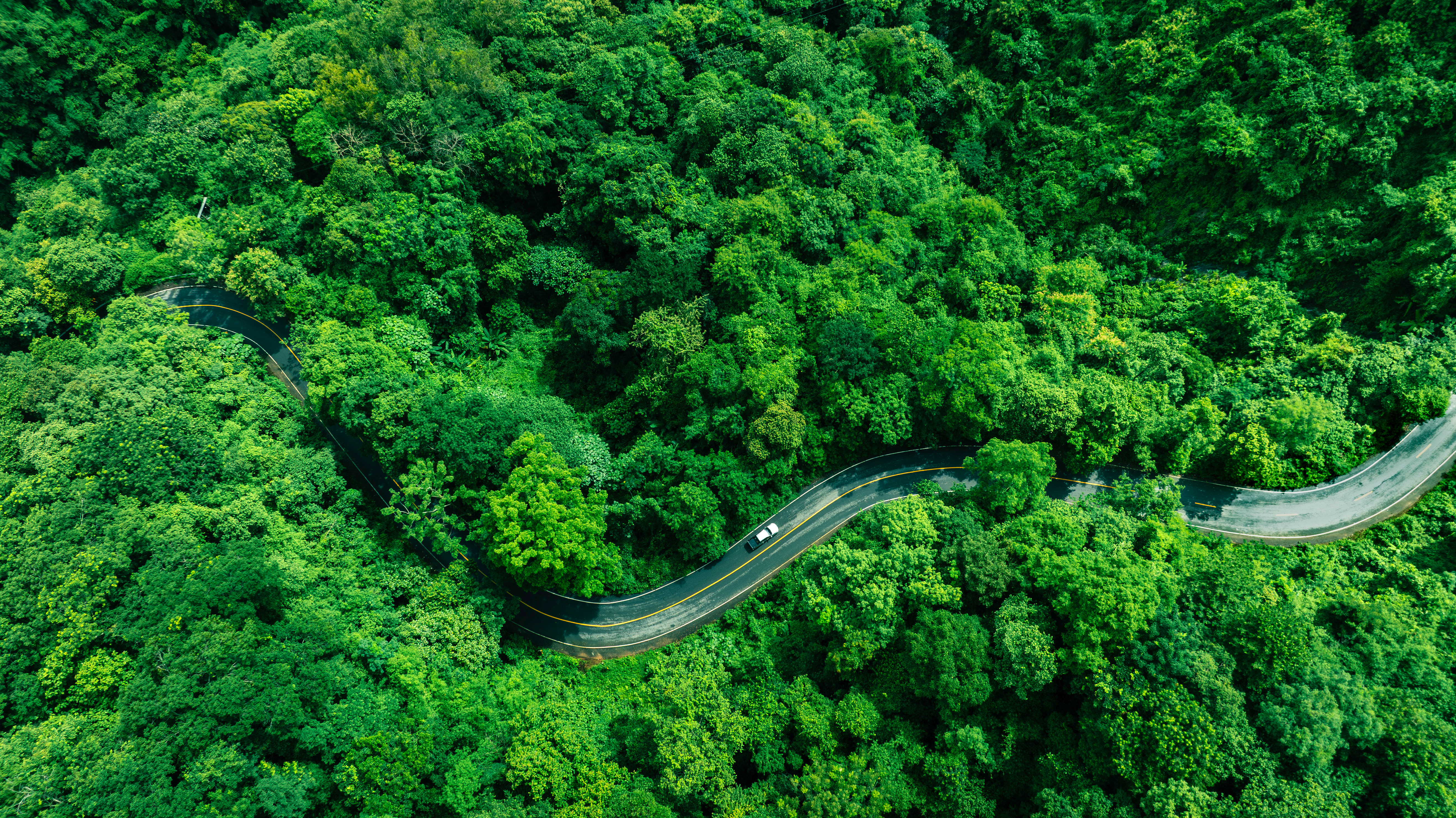 Carbon credit procurement delays pose cost and compliance risks for industry