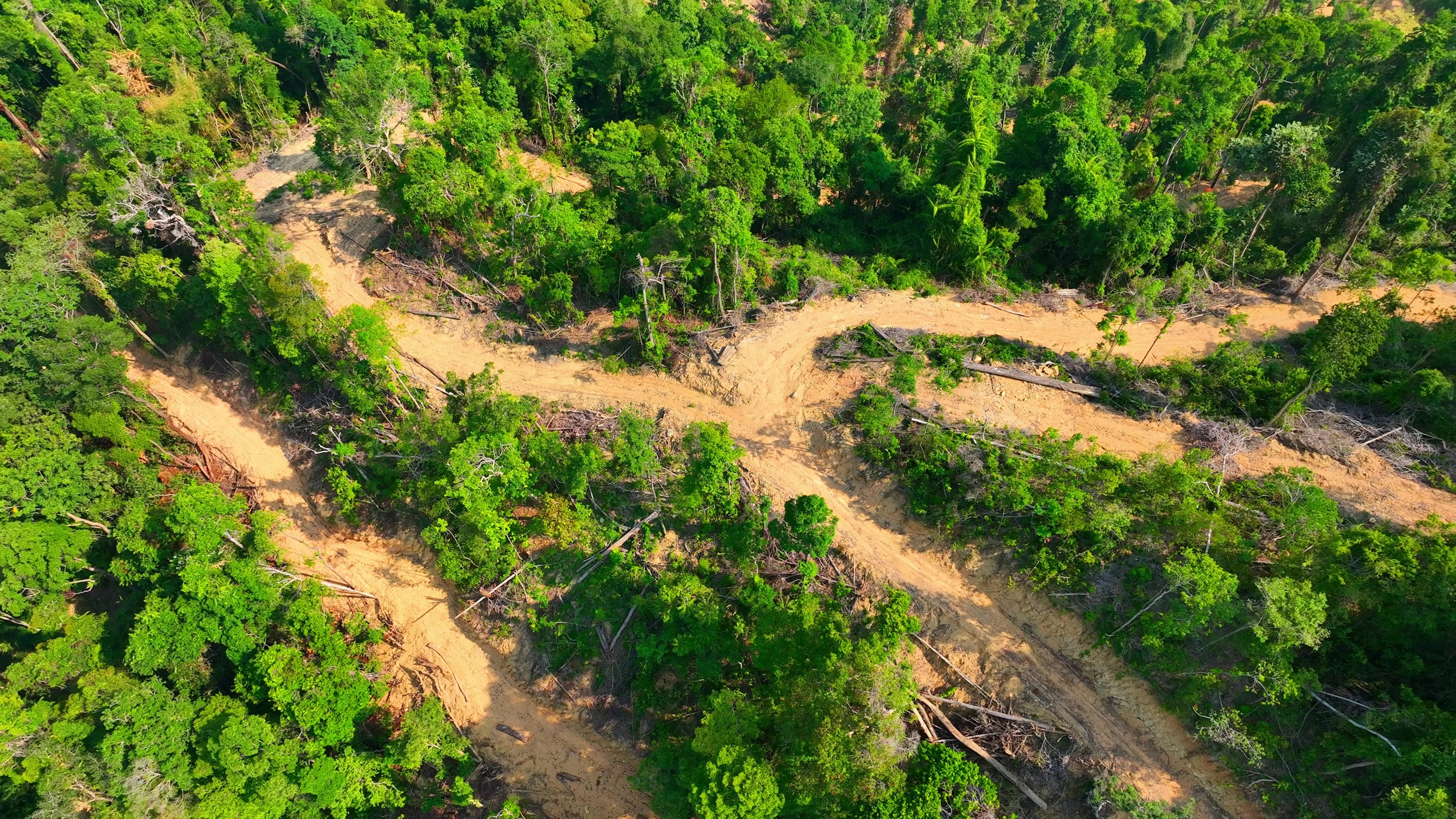 Nature loss puts 140 million European jobs at risk, study finds