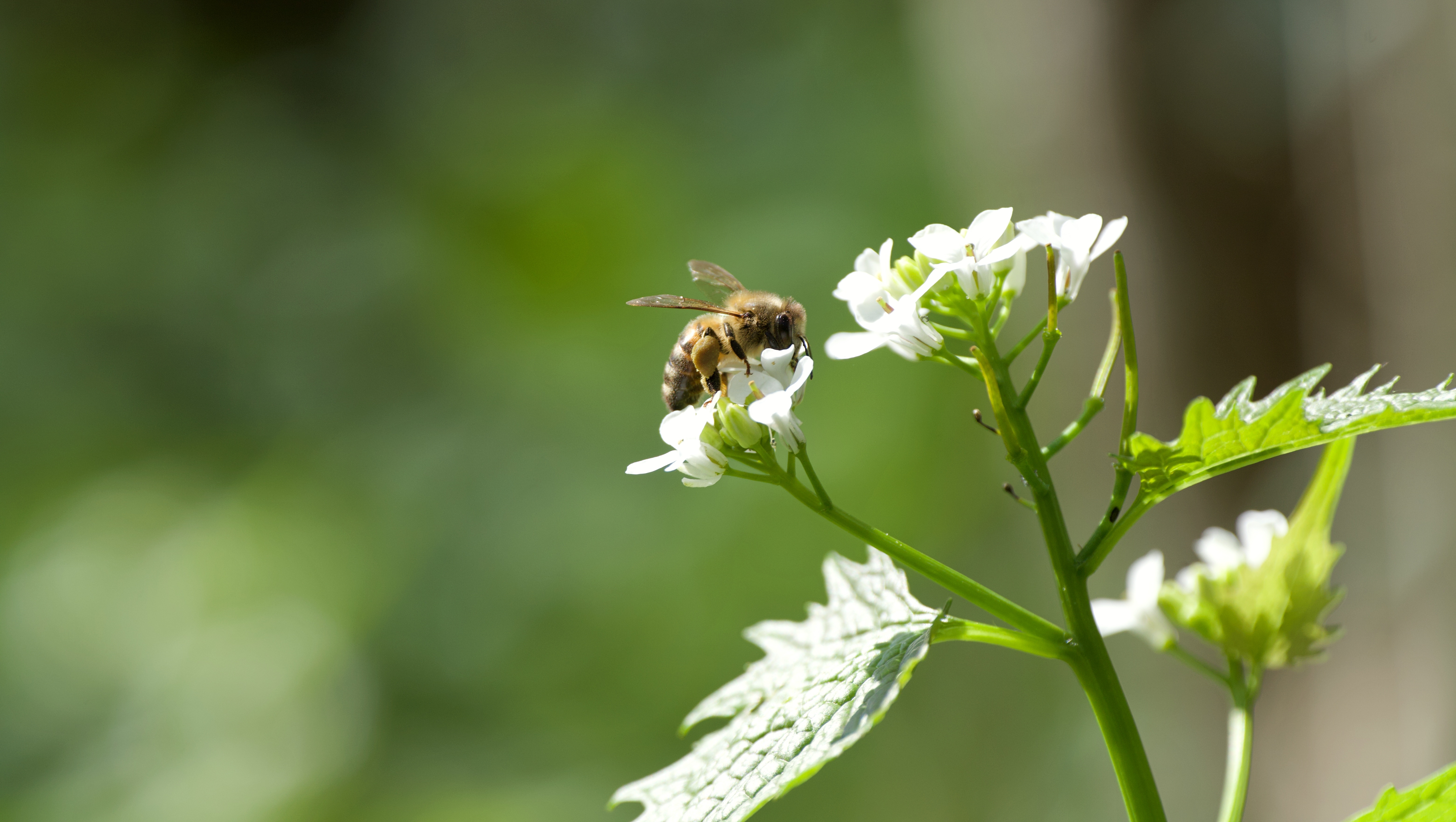 Ambition into action: reflections on nature from the private sector