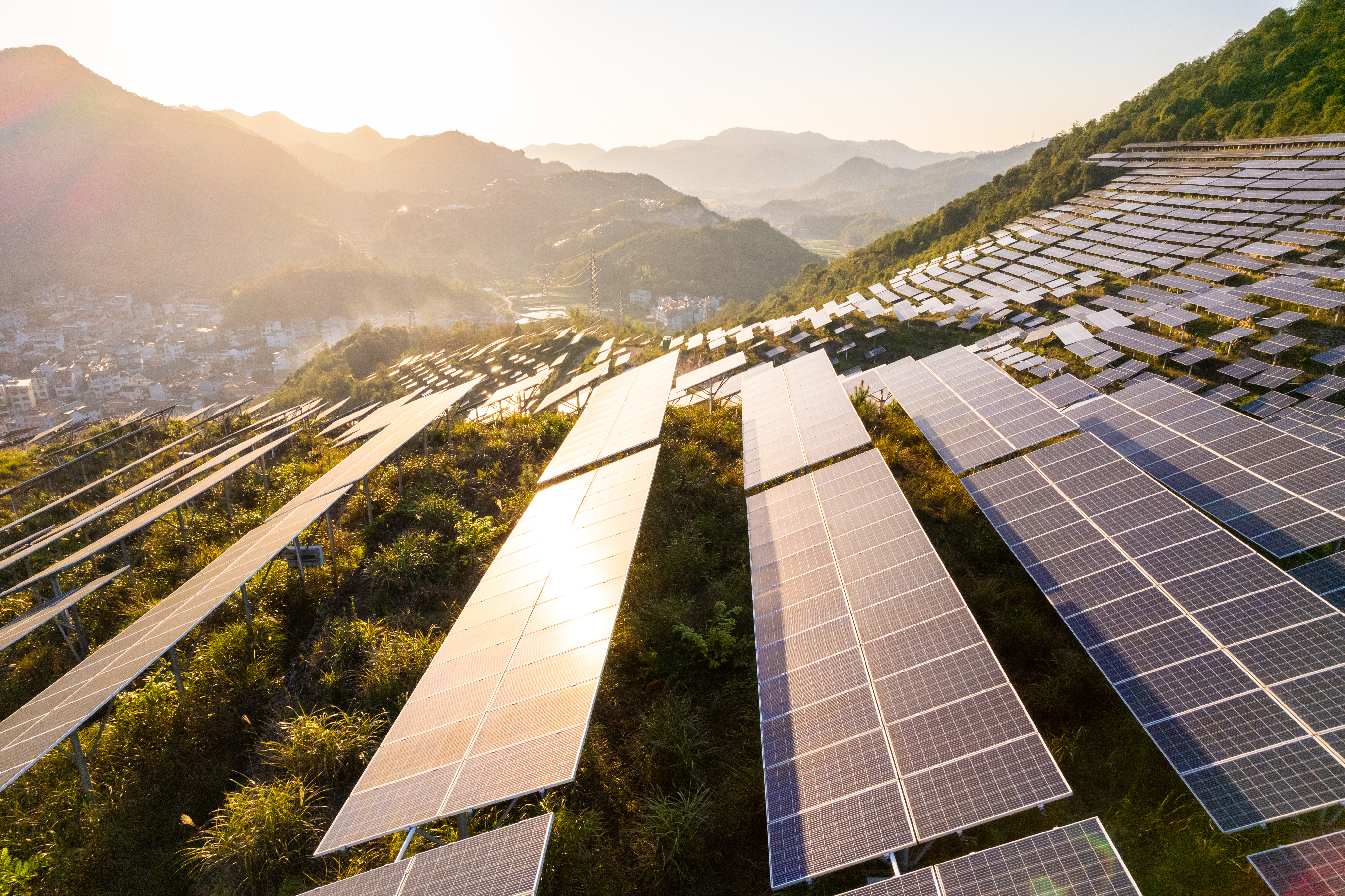 Decarbonisation in 2026: The risks, drivers and actions shaping business net-zero progress