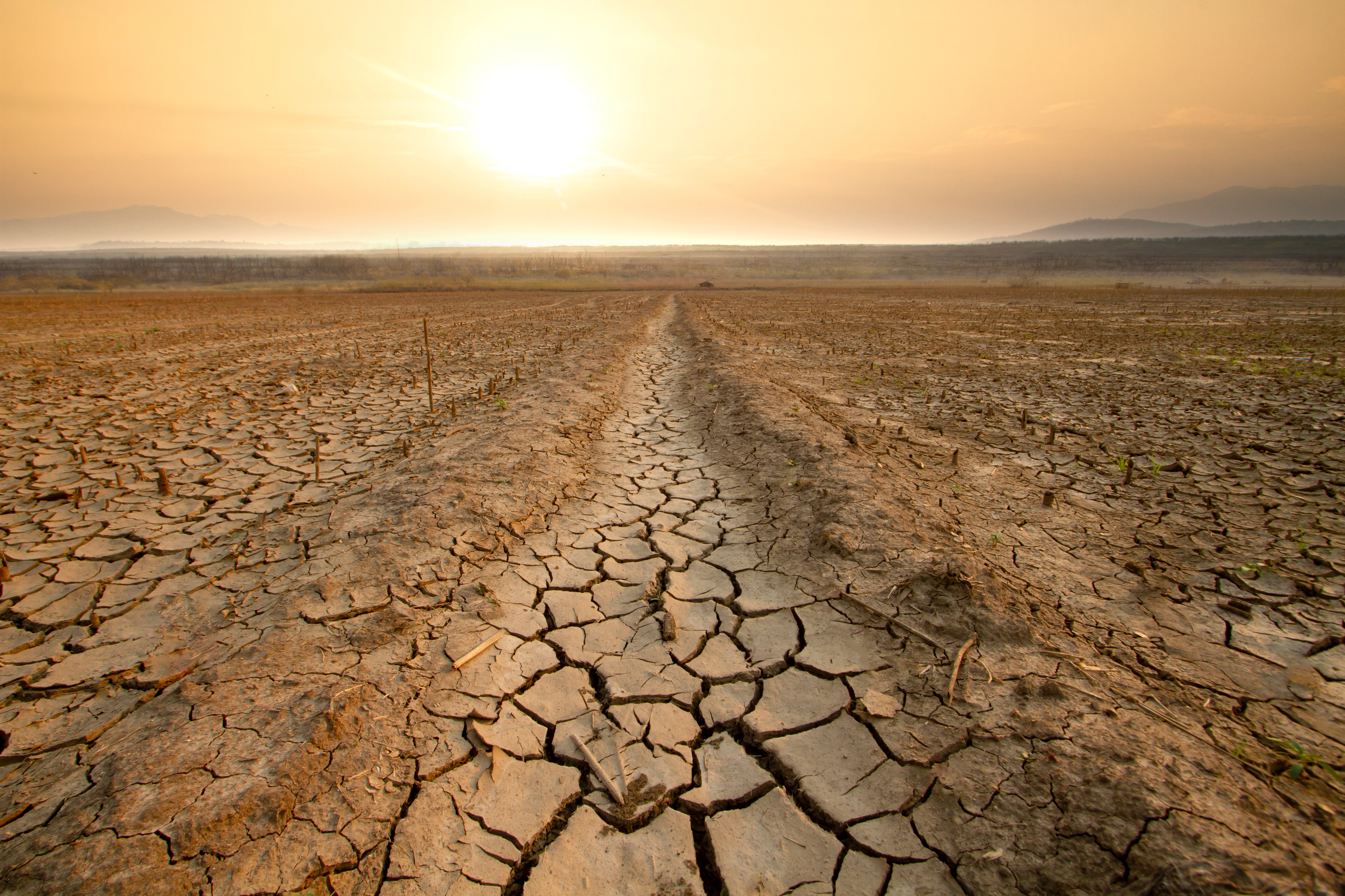 A $278bn funding gap: Who will pay for water security?