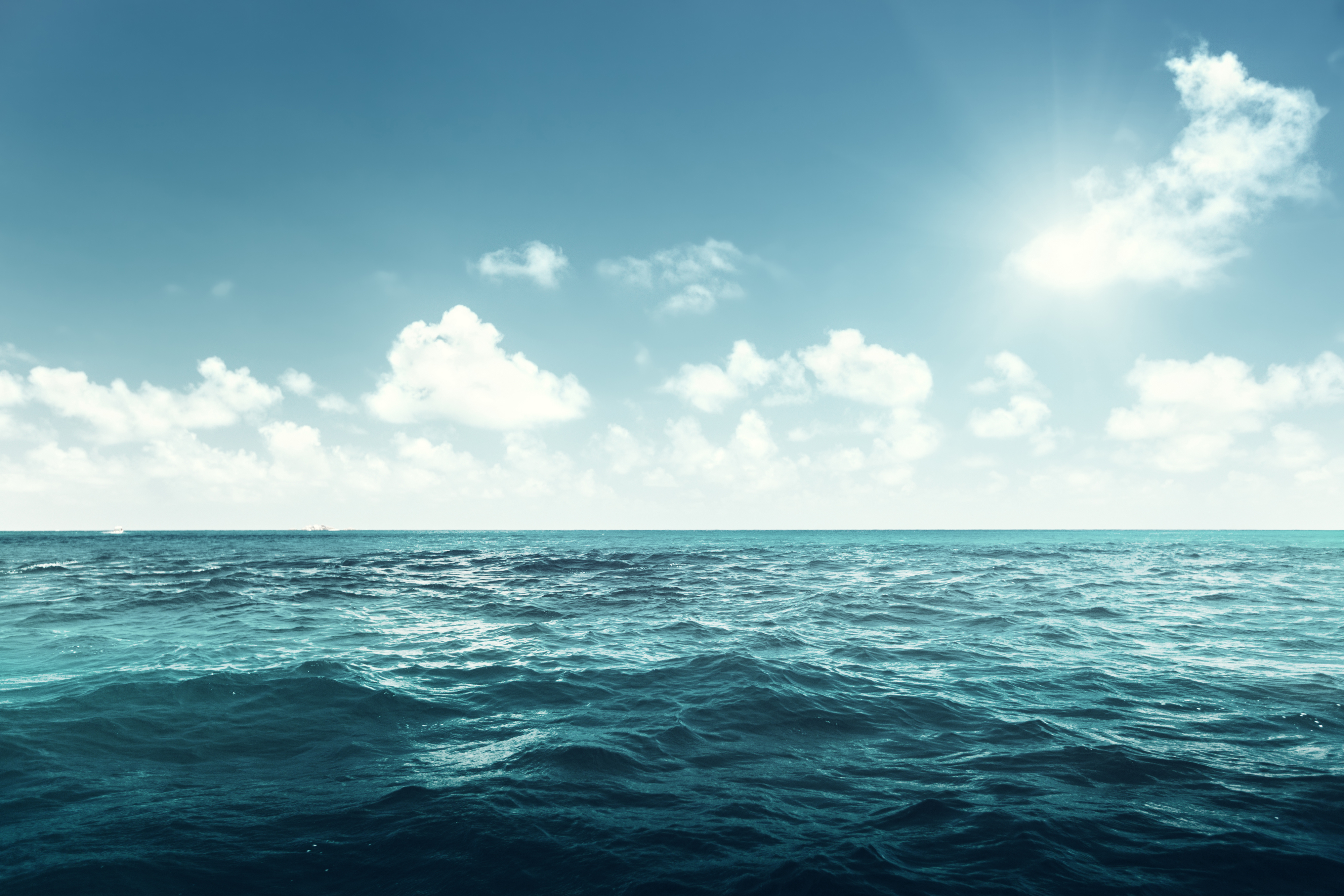 Australia Ratifies High Seas Treaty as Global Ocean Protection Tightens
