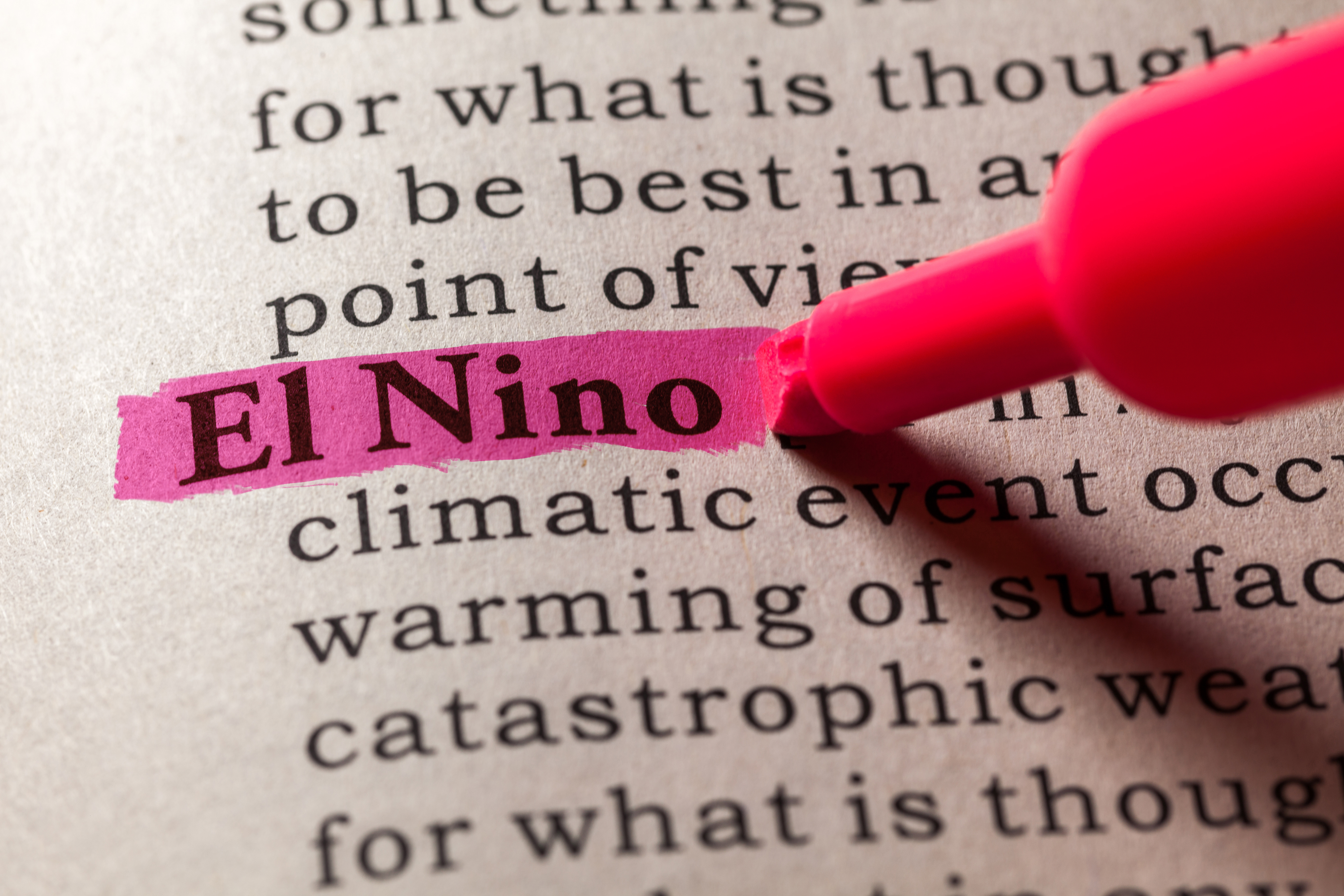 Business concern over El Niño risk hits multi-year high, analysis finds