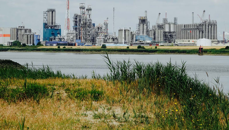 Belgium blocks mega plastics plant over lack of environmental data - Vimarsana News