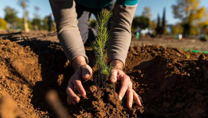 Bupa's Healthy Cities: Investing in Global Nature Regeneration Projects - Vimarsana News
