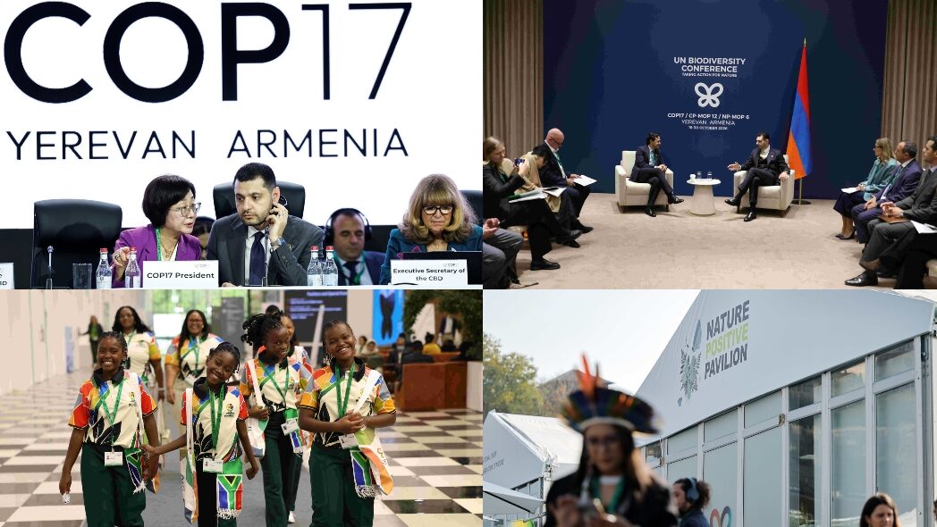 COP17 at halftime finds biodiversity goals largely off track