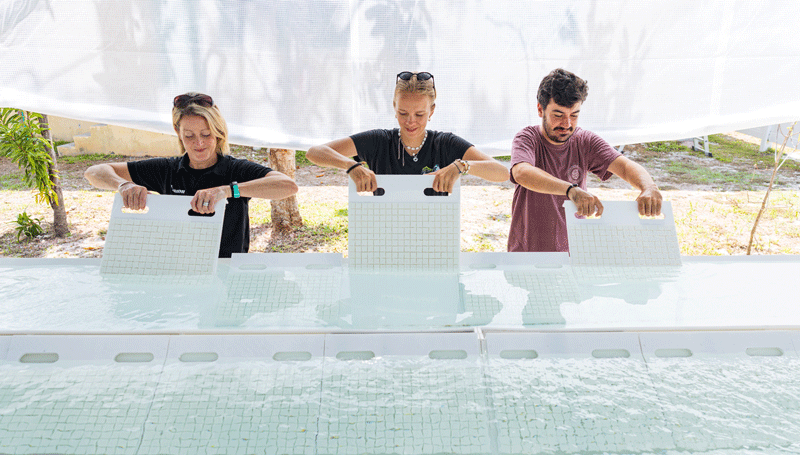 Why empowering others should be the next step forward for corporate sustainability