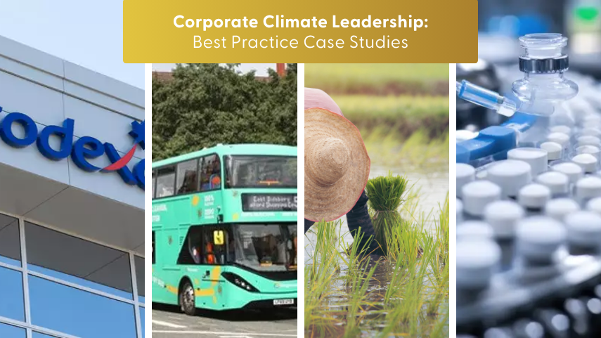 How collaborative supplier engagement drives supply chain decarbonisation