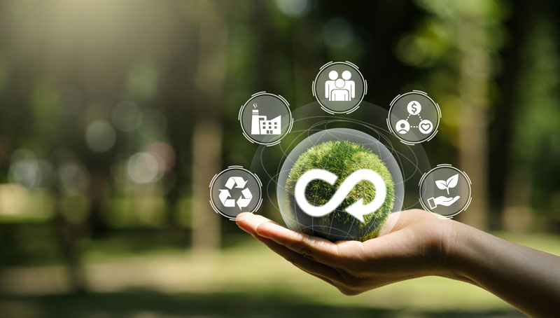 Why circular economy skills are becoming essential and what most businesses are getting wrong