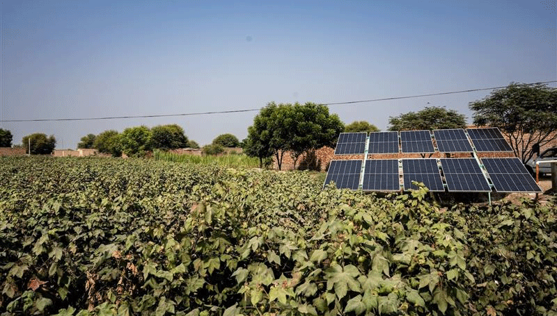 M&S to subsidise solar solutions for cotton farmers
