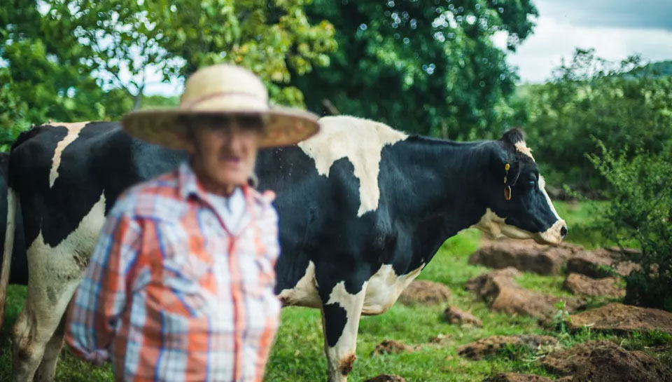 Danone eyes feed additives to tackle methane emissions from cows - Vimarsana News