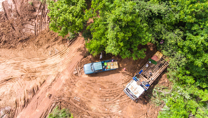 Forest 500 Report: Companies & Finance Groups Lack Deforestation Policies - Vimarsana News