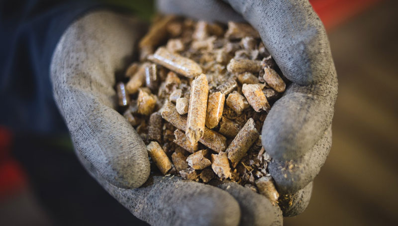 UK sued for counting wood burning with carbon capture as 'negative emissions' - Vimarsana News