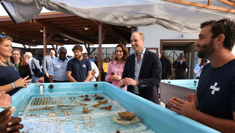 The real climate risk is missing the turning point