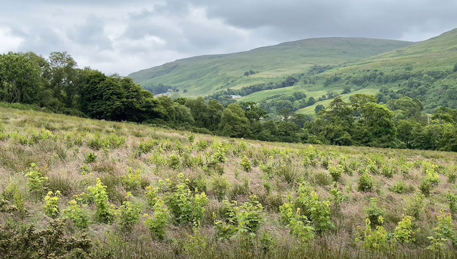 Media companies raise £250k for UK nature projects, set sights on £200m