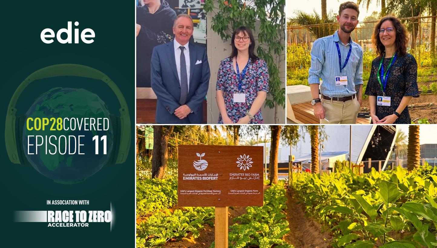 COP28 Covered Podcast episode 11 | Big food pledges, regenerative roadmaps and the 'cow in the room' - Vimarsana News