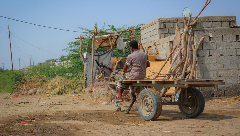Unlocking the power of partnership to build climate resilience in fragile and conflict-affected states - Vimarsana News