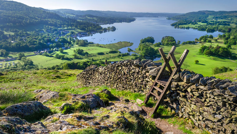 UK fleshes out anti-deforestation laws for supply chains, publishes domestic nature conservation plans - Vimarsana News