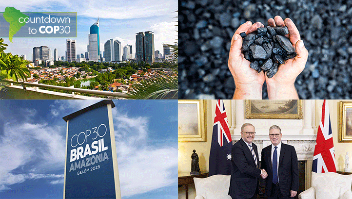 COP30 Action Tracker: Delegates scramble for cruise ship rooms as Indonesia and UK refresh climate strategies