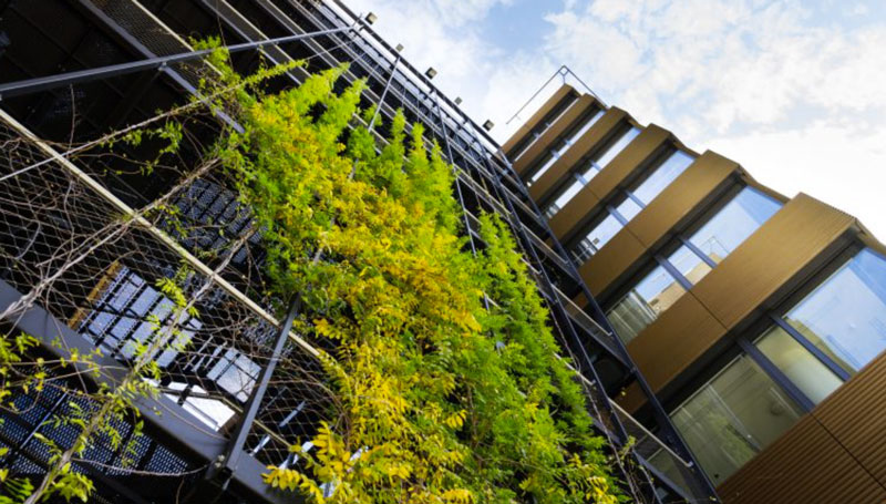 SBTi's Transformation Plan: Growing Demand for Emissions Goal Verification in Line with Climate Science - Vimarsana News