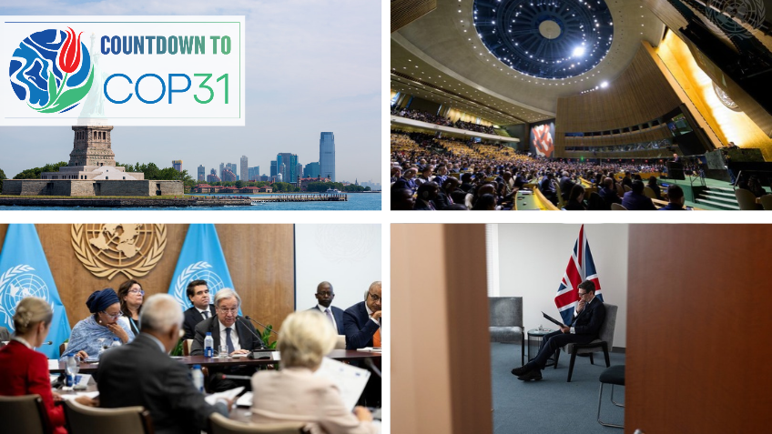 Global climate policy updates signal accelerating decarbonisation pressure
