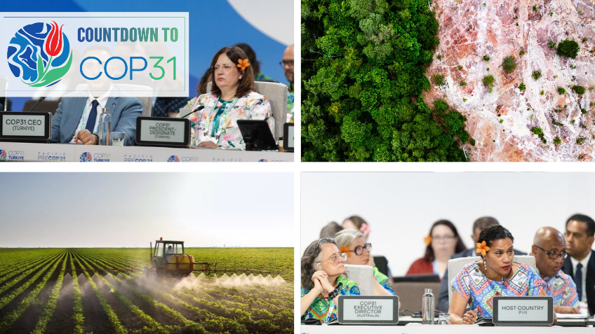 COP31 in Türkiye: Tracking Climate Policy and Nature Commitments