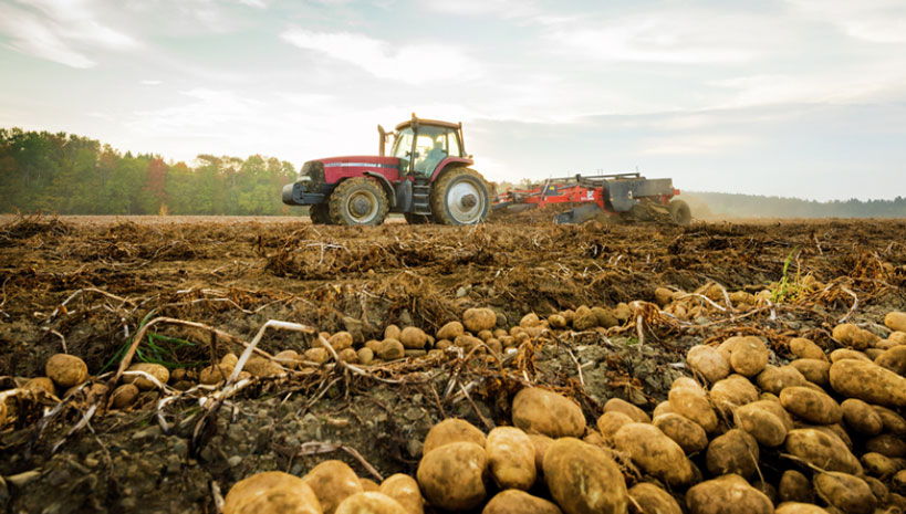 How bold are the Food and Drink Federation's sustainable policy recommendations? - Vimarsana News