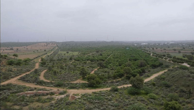 From thirst to stewardship: How a desert mine secured AWS Gold certification