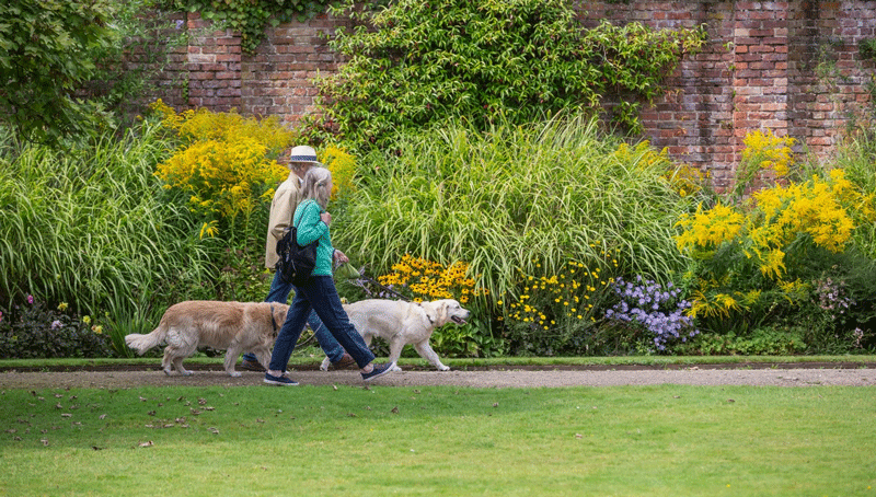 From scones to shrub planting: Inside National Trust’s Climate Action Transition Plan