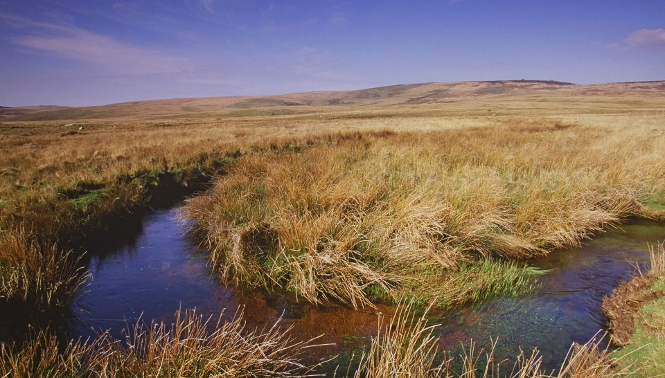 UK Government Invests £7.5m to Reduce Peat Carbon Emissions and Enhance Drought Resilience - Vimarsana News