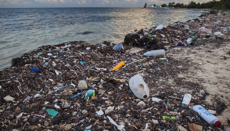 Plastic Wastes: Billions of Dollars of Risk for Investors - Vimarsana News