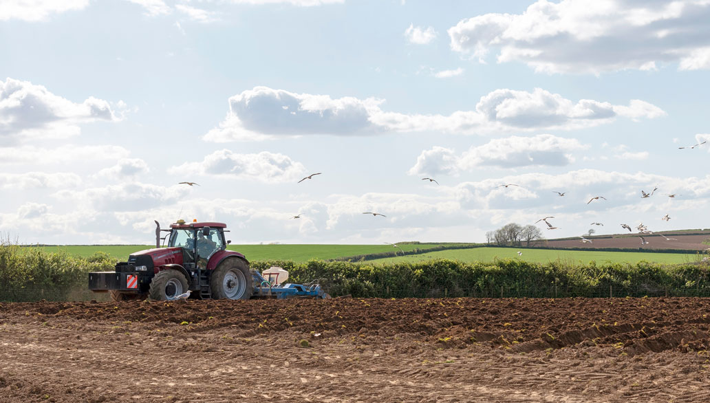 UK Government Grants £427m for Agricultural Advances & Food Security - Vimarsana News