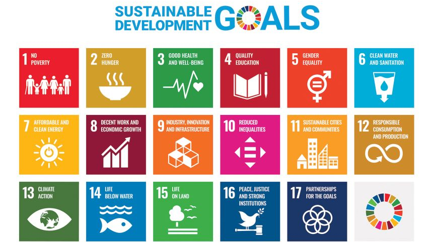 Accounting Bodies Call on UK Government to Achieve Sustainable Development Goals - Vimarsana News