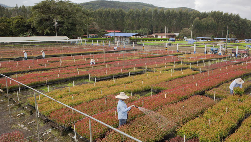 Smurfit Kappa's Green Bond Proceeds: Impact on Resource Efficiency, Waste Management, and Circular Economy - Vimarsana News