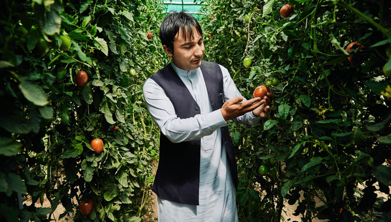 The barrier to sustainable investment isn’t capital, it’s markets