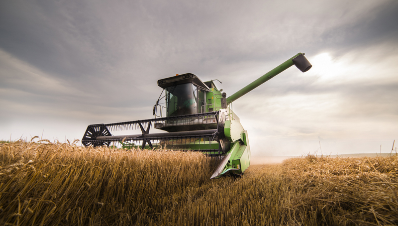 General Mills and Walmart Join Forces to Advance Regenerative Agriculture and Sustainable Sourcing - Vimarsana News