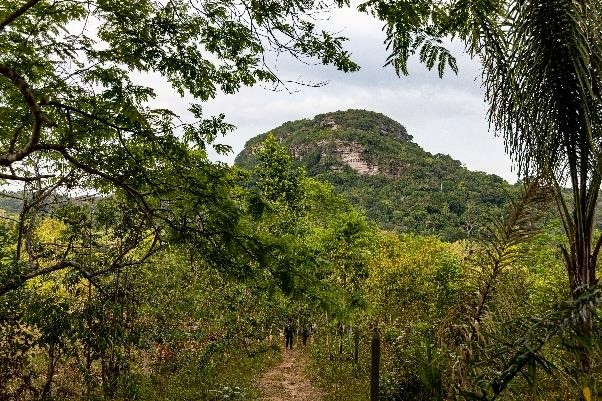 YSL Beauty: 'Rewild Our Earth' biodiversity conservation programmes - Vimarsana News