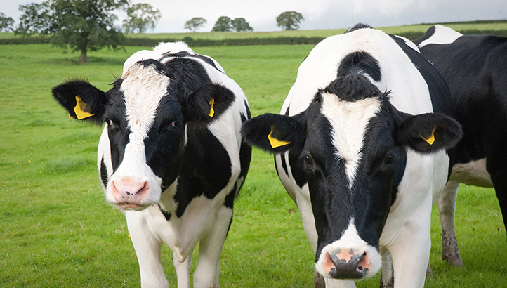 UK dairy sector sets stricter packaging and carbon targets