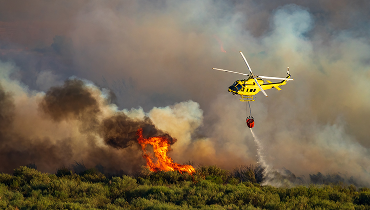 Climate Crisis: Will we ever get to the heart of the challenge? - Vimarsana News