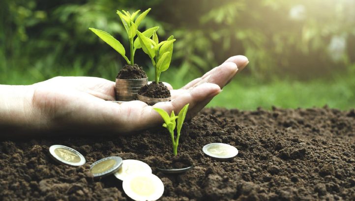 Rising European City Resilience with Nature-Based Climate Solutions - Vimarsana News