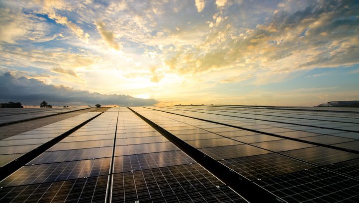 Green tech, materials and preserving nature: The corporate sustainability trends shaping 2024 - Vimarsana News