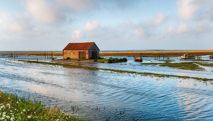 Revolutionising Flood Management: UK Government Turns to Natural Measures to Boost Climate Resilience - Vimarsana News