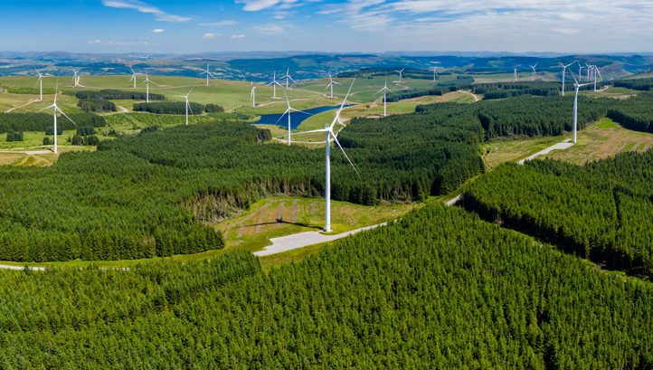 COP28 Climate Group Calls for Global Policies Boosting Renewable Energy - Vimarsana News