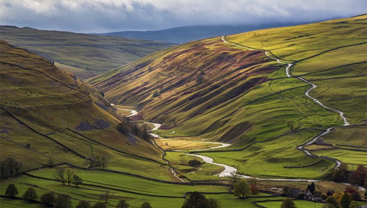 The Wildlife Trusts Warn Government of Unfulfilled Nature Commitments - Vimarsana News