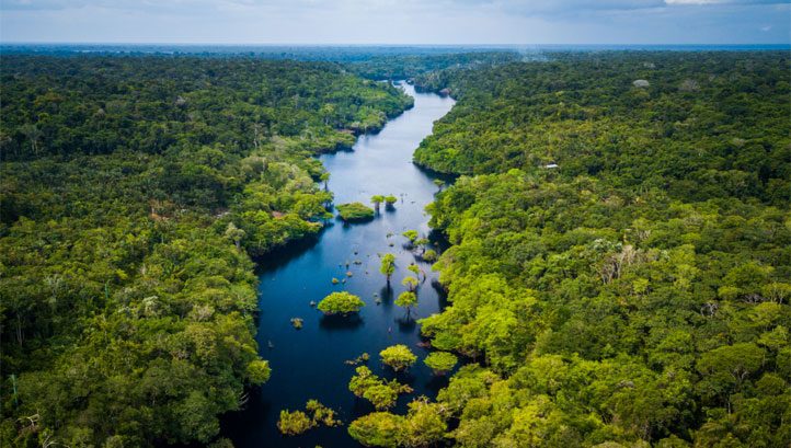 Taskforce on Nature-related Financial Disclosures to Create Global Nature Data Facility - Vimarsana News