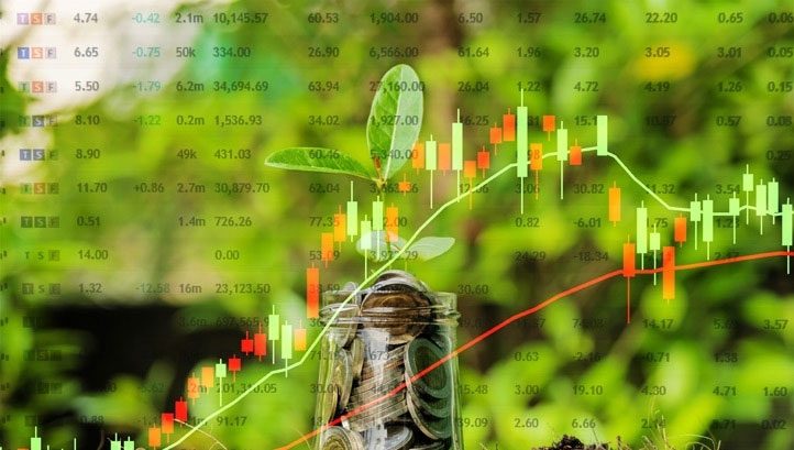Global green bond issuance reaches record levels - Vimarsana News