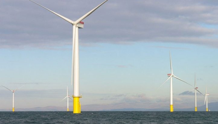 Avoidable and botched: Green groups react to offshore wind omission in CfD auctions - Vimarsana News