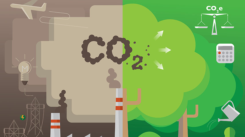 Elastic demand and greenstalling: Why 2024 is a make or break year for voluntary carbon markets - Vimarsana News